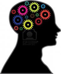 Procesar la información de acuerdo con las necesidades de la Organización